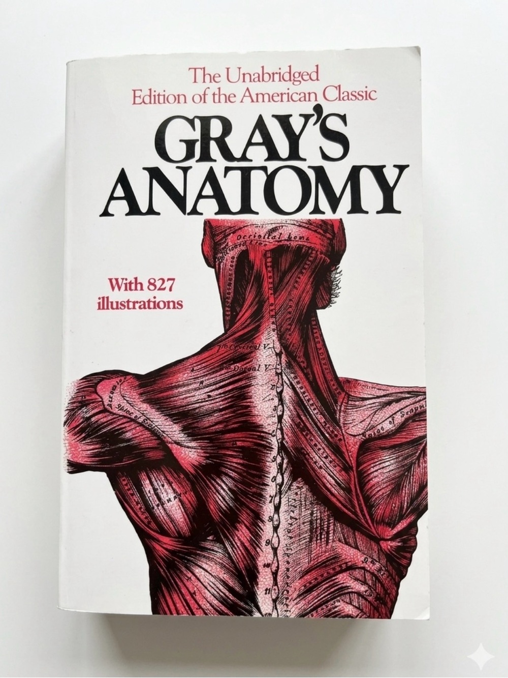 Gray's Anatomy Paperback Book